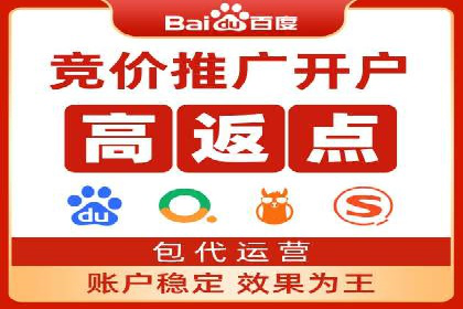 SEM外包公司案例：助力企业拓展海外市场